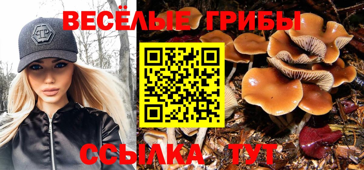 Галлюциногенные грибы мухоморы Воркута